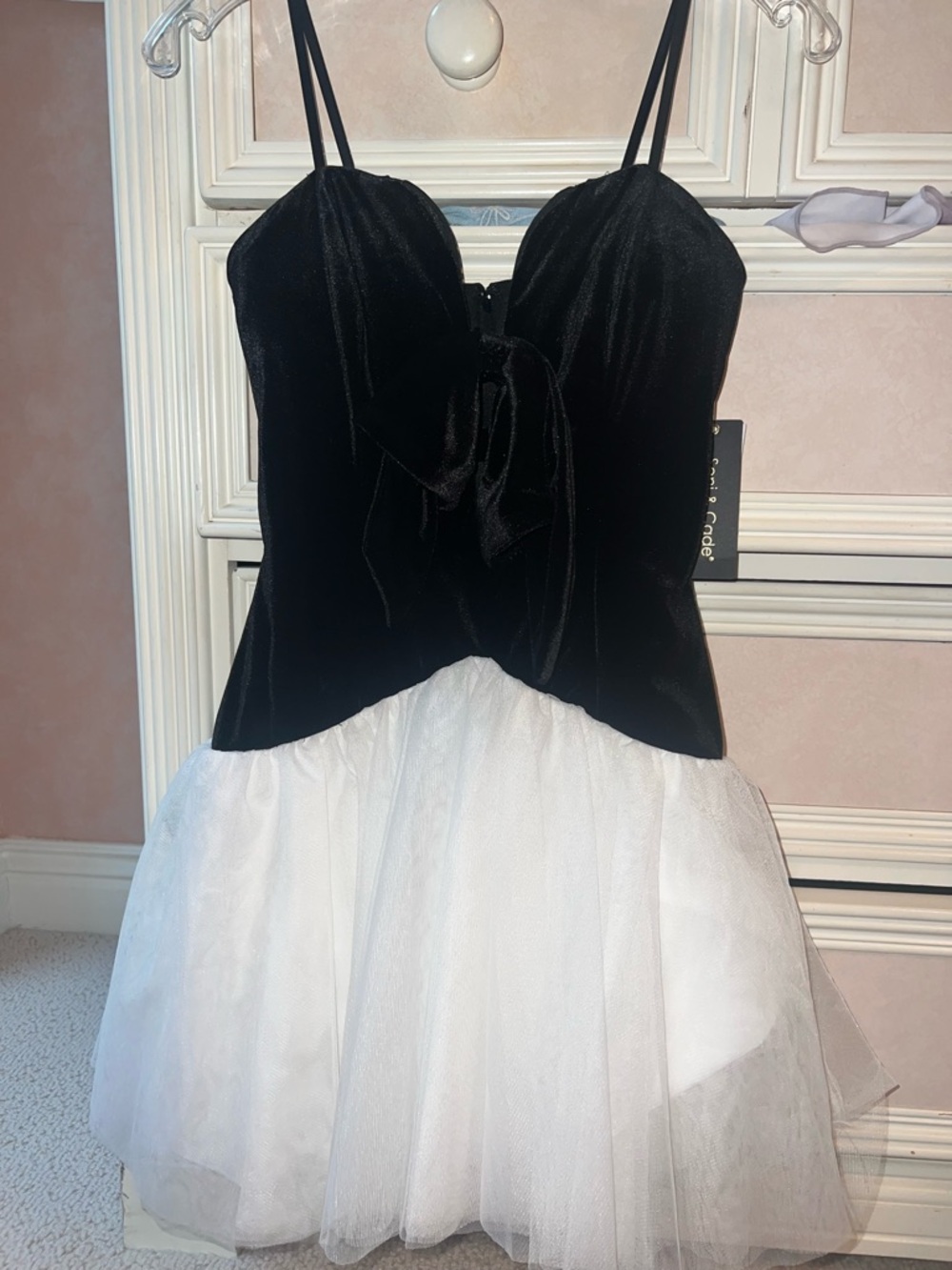 Black Velvet White Tull Dress